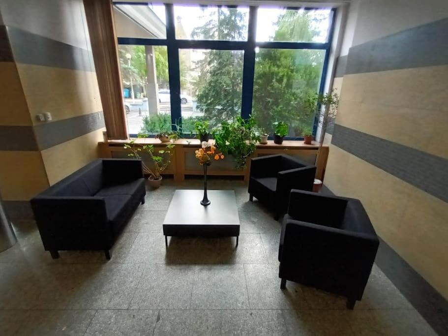 Apartment Fantastic Zg - S4 101 Zielona Gora (Lubuskie)